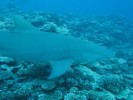 IMG_5684.JPG